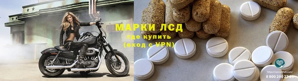 прущие грибы Михайловск