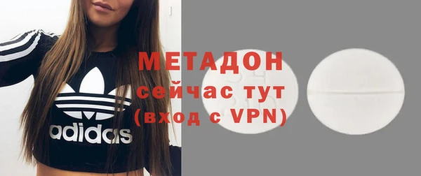 прущие грибы Михайловск