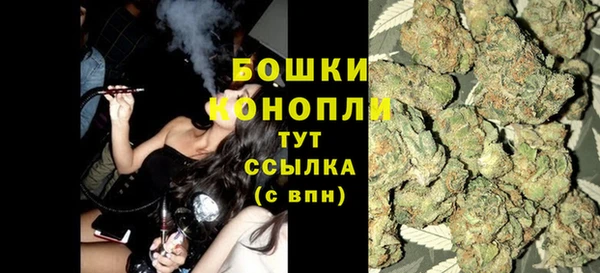 прущие грибы Михайловск