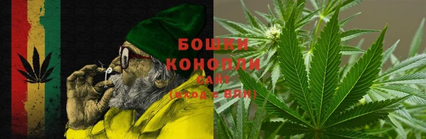 прущие грибы Михайловск